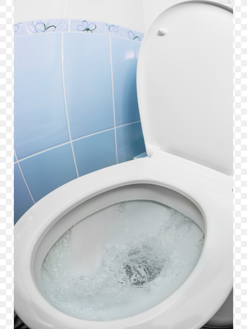 Dual Flush Toilet Bathroom Bowl, PNG, 728x1092px, Toilet, Bathroom, Bathroom Sink, Bathtub, Bidet Download Free
