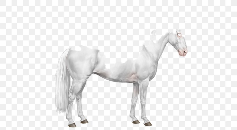 Mustang Stallion Pony American Paint Horse Mane, PNG, 600x450px, Mustang, American Paint Horse, American Quarter Horse, Animal Figure, Appaloosa Download Free