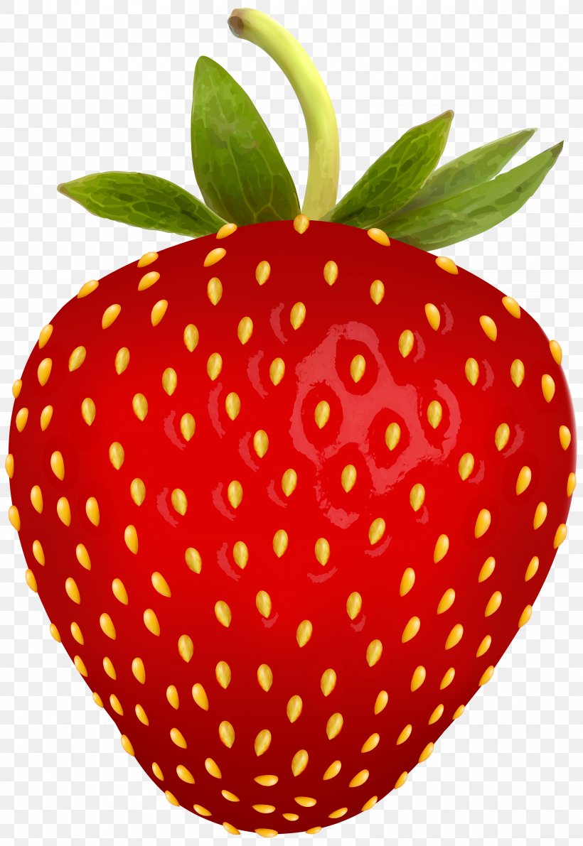 Strawberry Graphics Clip Art, PNG, 3442x5000px, Fragaria, Animation, Apple, Can Stock Photo, Drawing Download Free