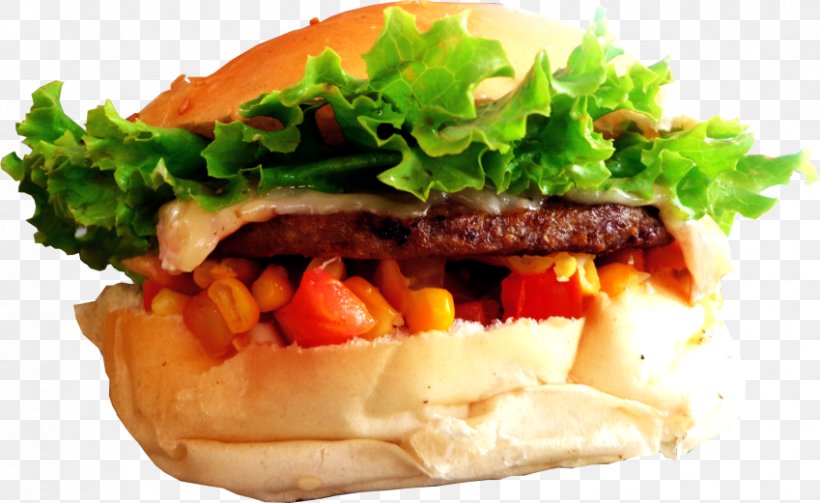 Bánh Mì Cheeseburger Buffalo Burger Breakfast Sandwich Veggie Burger, PNG, 849x521px, Cheeseburger, American Food, Breakfast, Breakfast Sandwich, Buffalo Burger Download Free