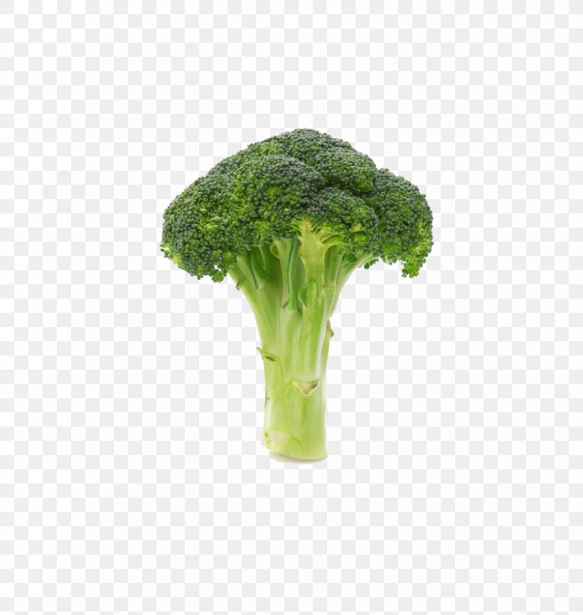Broccoli Vegetable Icon, PNG, 840x887px, Broccoli, Brassica Oleracea, Cauliflower, Flowerpot, Food Download Free