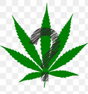 Cannabis - Cannabis Sativa Hemp Cannabis Ruderalis Medical Cannabis PNG