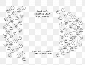 Circle - Circle Point Pattern PNG