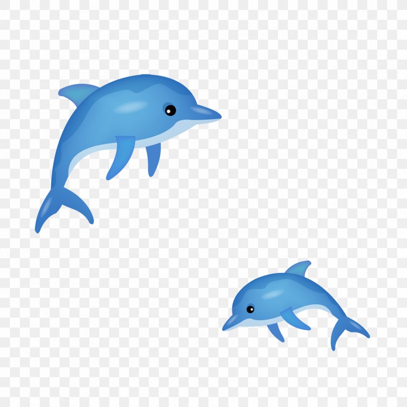 Short-beaked Common Dolphin Common Bottlenose Dolphin Tucuxi, PNG, 1772x1772px, Tucuxi, Beak, Blue, Cartoon, Cetacea Download Free
