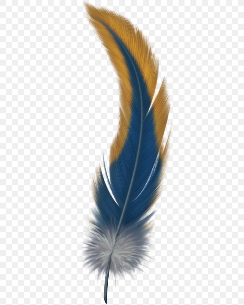 Bird Flight Feather Clip Art, PNG, 354x1024px, Watercolor, Cartoon, Flower, Frame, Heart Download Free
