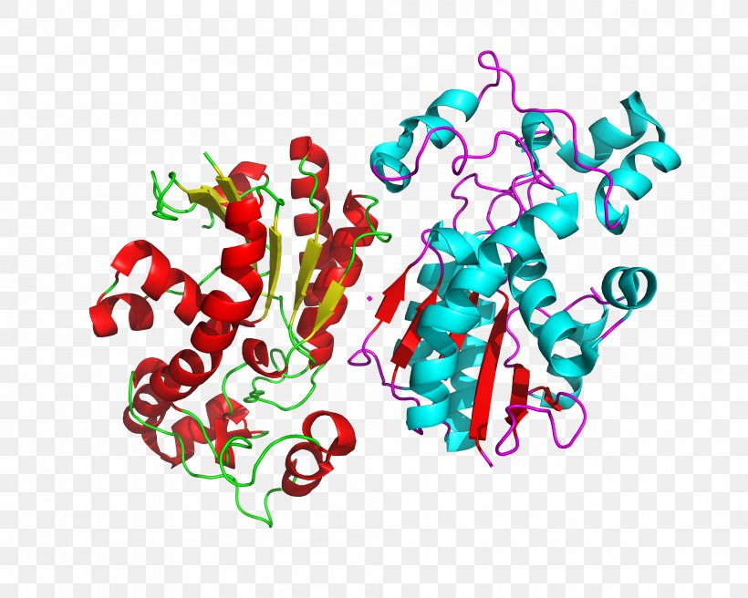 Bisphosphoglycerate Mutase 3-Phosphoglyceric Acid 2,3-Bisphosphoglyceric Acid, PNG, 4000x3200px, Watercolor, Cartoon, Flower, Frame, Heart Download Free