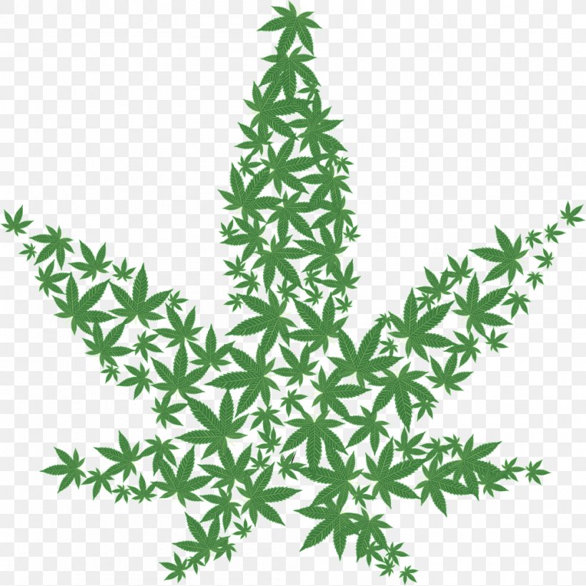 Cannabis Sativa Cannabis Cup Skunk Medical Cannabis, PNG, 998x1000px, Cannabis Sativa, Branch, Cannabis, Cannabis Cup, Cannabis Ruderalis Download Free