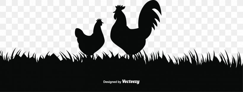Chicken Rooster Sunrise, PNG, 2917x1105px, Chicken, Beak, Bird, Black, Black And White Download Free
