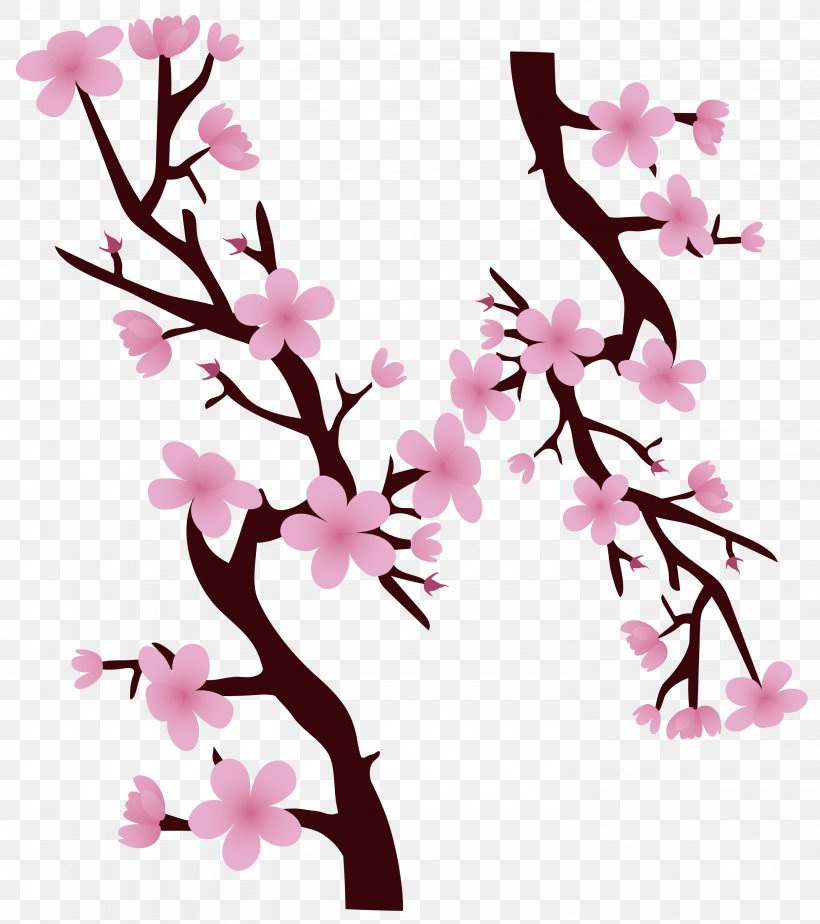 National Cherry Blossom Festival, PNG, 2969x3349px, National Cherry Blossom Festival, Blossom, Branch, Cherry, Cherry Blossom Download Free