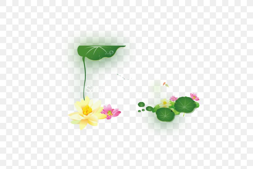 Nelumbo Nucifera Green Clip Art, PNG, 617x550px, Nelumbo Nucifera, Cartoon, Copyright, Flora, Flower Download Free