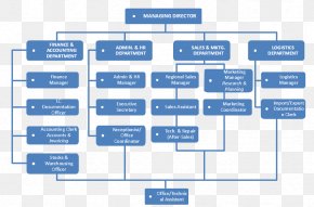 Organizational Structure Organizational Chart Business Ferrero SpA, PNG ...