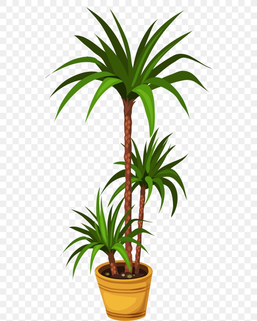 Palm Trees Flower Image Floral Design, PNG, 535x1024px, Palm Trees, Arecales, Botany, Coconut, Drawing Download Free