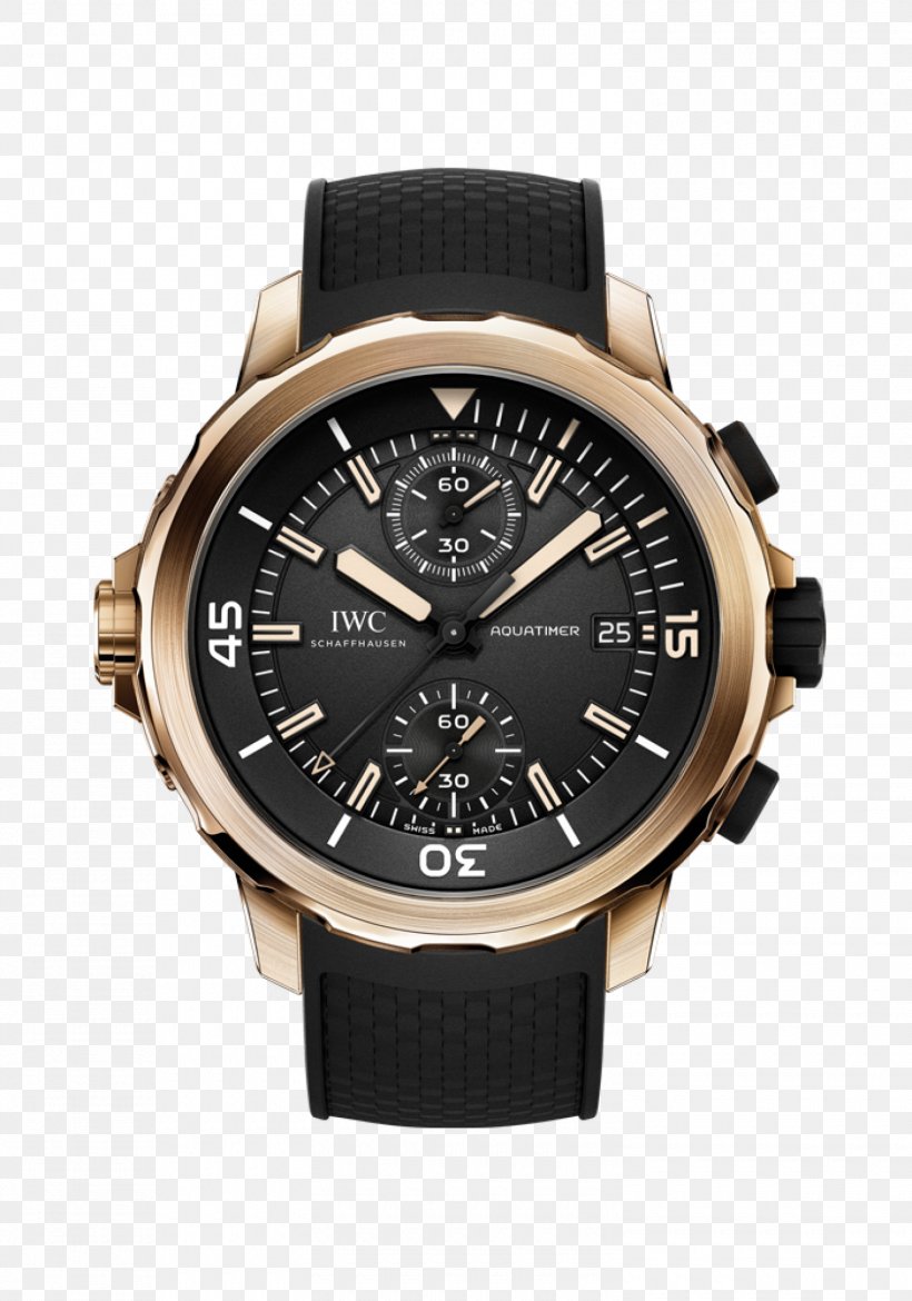 The Voyage Of The Beagle Galápagos Islands International Watch Company Diving Watch, PNG, 1500x2142px, Voyage Of The Beagle, Automatic Watch, Brand, Charles Darwin, Chronograph Download Free