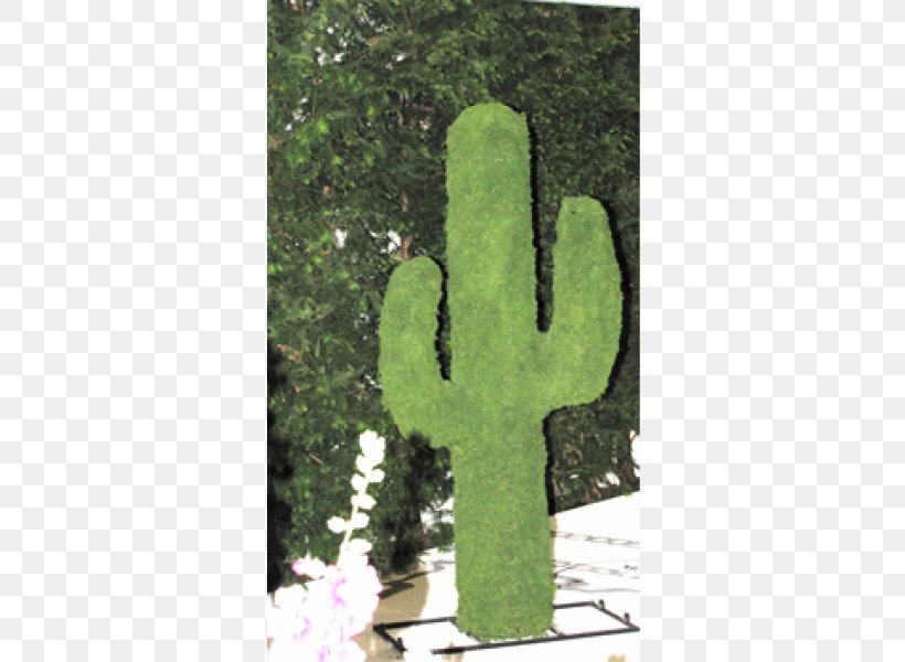 Wire Sculpture Ornament Garden Vase Gazebo, PNG, 600x600px, Wire Sculpture, Bustwaisthip Measurements, Cactus, Caryophyllales, Christmas Download Free