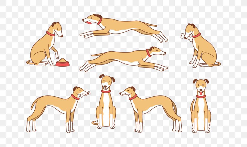Italian Greyhound Whippet Spanish Greyhound Azawakh Sloughi, PNG, 700x490px, Italian Greyhound, Animaatio, Animal Figure, Azawakh, Carnivoran Download Free