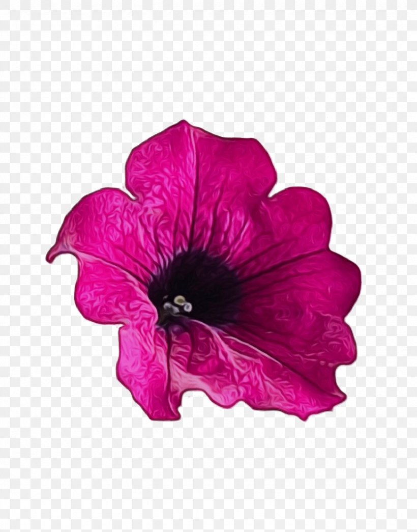 Petal Flower Pink Violet Petunia, PNG, 871x1111px, Watercolor, Flower, Flowering Plant, Hawaiian Hibiscus, Magenta Download Free
