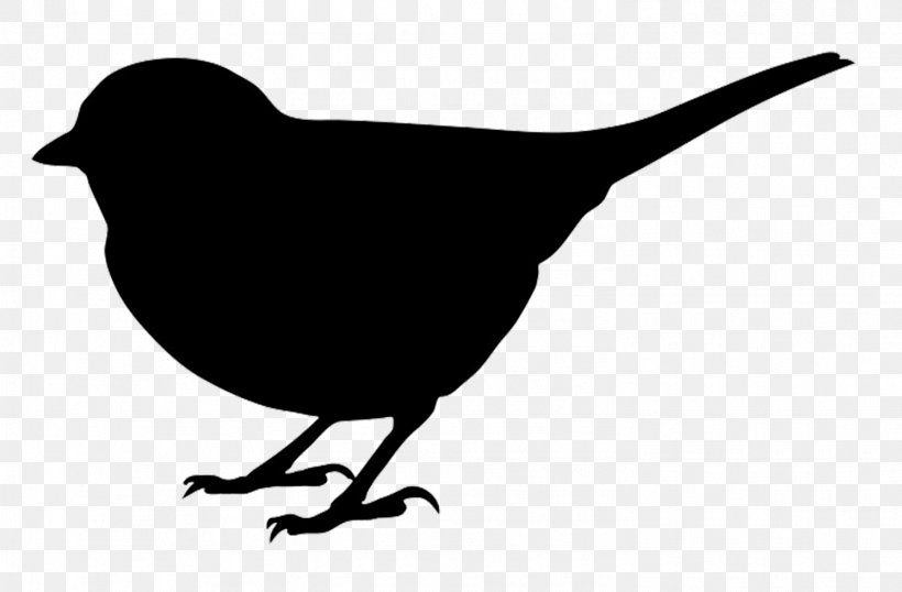 Bird Silhouette Clip Art, PNG, 1494x981px, Bird, Art, Beak, Black And White, Blog Download Free