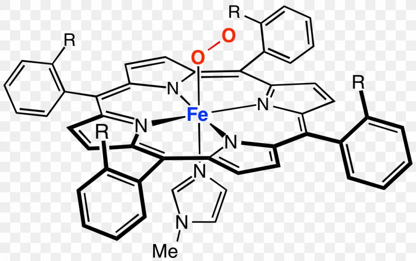 Myoglobin Tetraphenylporphyrin Hemoglobin Iron, PNG, 1094x689px, Myoglobin, Area, Black And White, Chlorophyll, Diagram Download Free