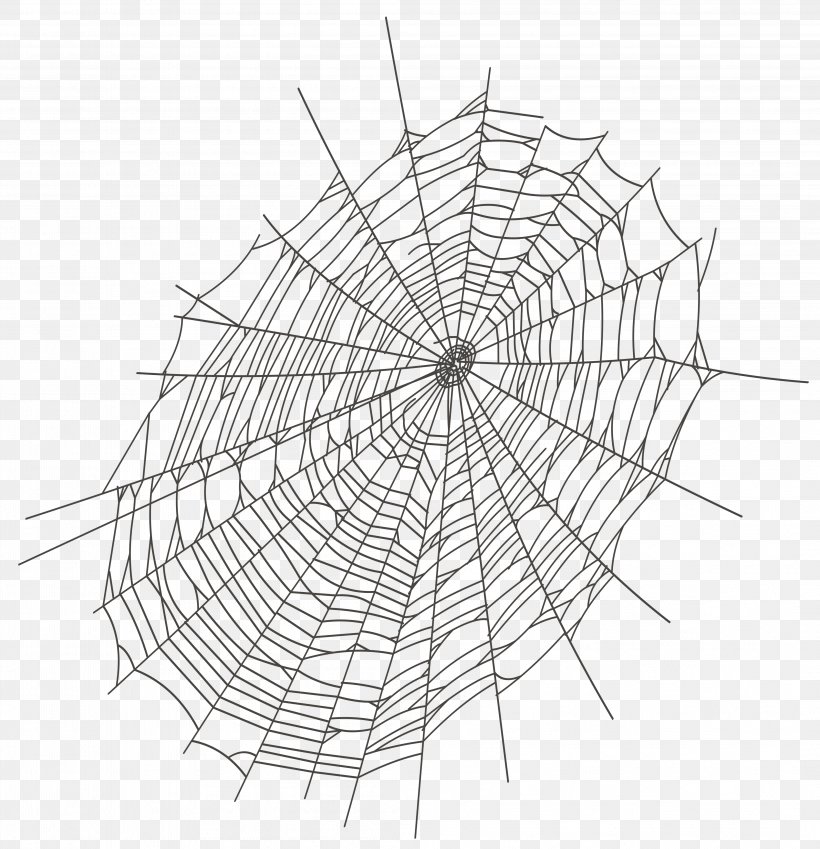 Spider-Man Spider Web Clip Art, PNG, 4179x4331px, Spiderman, Black And White, Branch, Drawing, Halloween Film Series Download Free