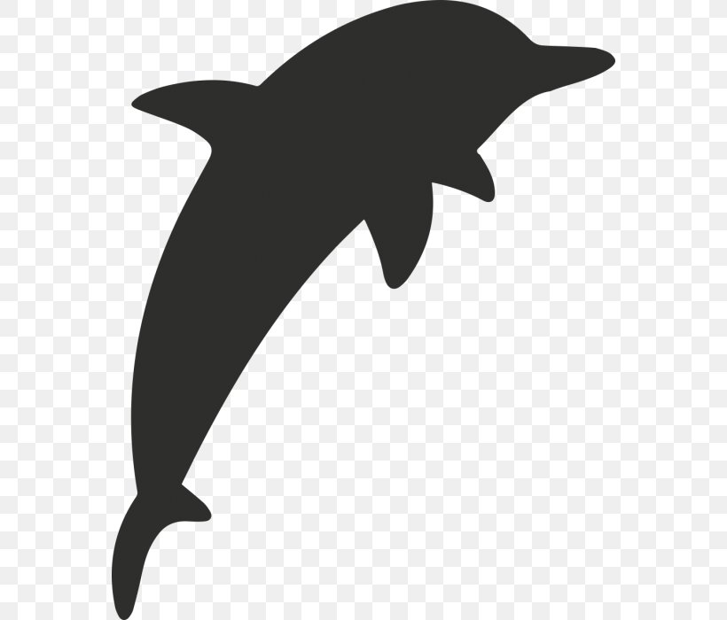Tucuxi Sticker Common Bottlenose Dolphin Wall Decal Paper, PNG, 568x700px, Tucuxi, Adhesive, Black And White, Bottlenose Dolphin, Common Bottlenose Dolphin Download Free