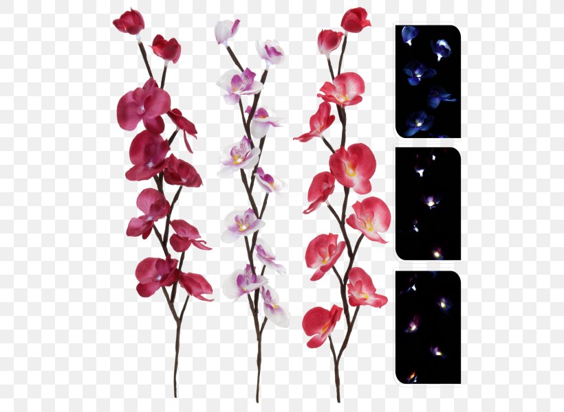Light-emitting Diode Tree Branch Lighting Cut Flowers, PNG, 600x600px, Lightemitting Diode, Artificial Flower, Artikel, Blossom, Branch Download Free