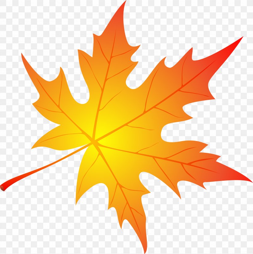 Vector Graphics Clip Art Image Illustration Maple Leaf, PNG, 3607x3613px, Maple Leaf, Art, Flowering Plant, Istock, Leaf Download Free