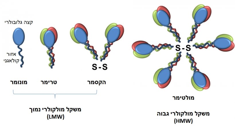 Adiponectin Structure Pixel Computer File, PNG, 902x493px, Adiponectin, Body Jewelry, Diagram, Display Resolution, Fashion Accessory Download Free