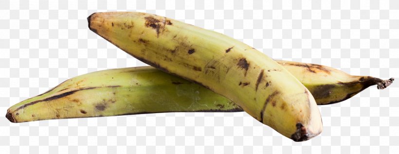 Banana Plantago Asiatica, PNG, 1307x506px, Cooking Banana, Banana, Banana Family, Cooking, Cooking Plantain Download Free