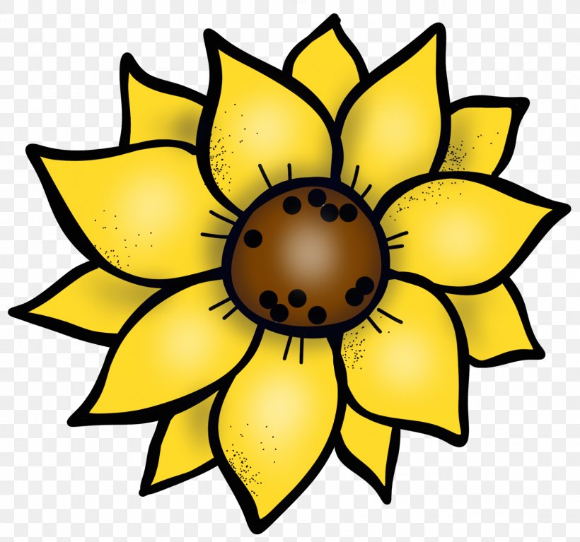 Common Sunflower Sunflower Seed Cut Flowers Symmetry Clip Art, PNG, 1600x1498px, Common Sunflower, Artwork, Cut Flowers, Flora, Flower Download Free
