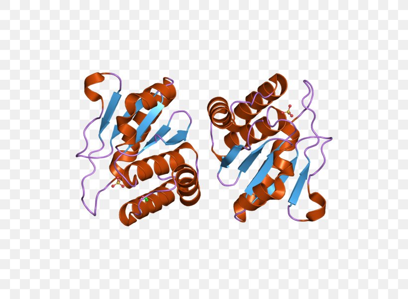 Dual-specificity Phosphatase DUSP10 Protein Phosphatase MAPK Phosphatase, PNG, 800x600px, 1012 Wx, Dualspecificity Phosphatase, Art, Enzyme, Gene Download Free