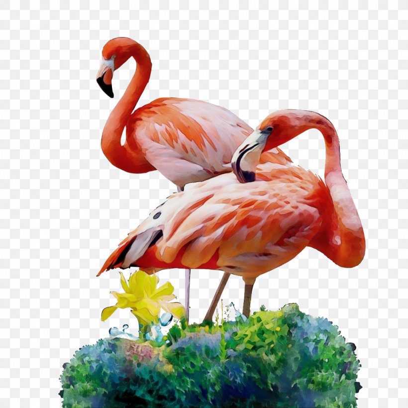 Flamingo Watercolor, PNG, 1024x1024px, Watercolor, Beak, Bird, Flamingo, Greater Flamingo Download Free