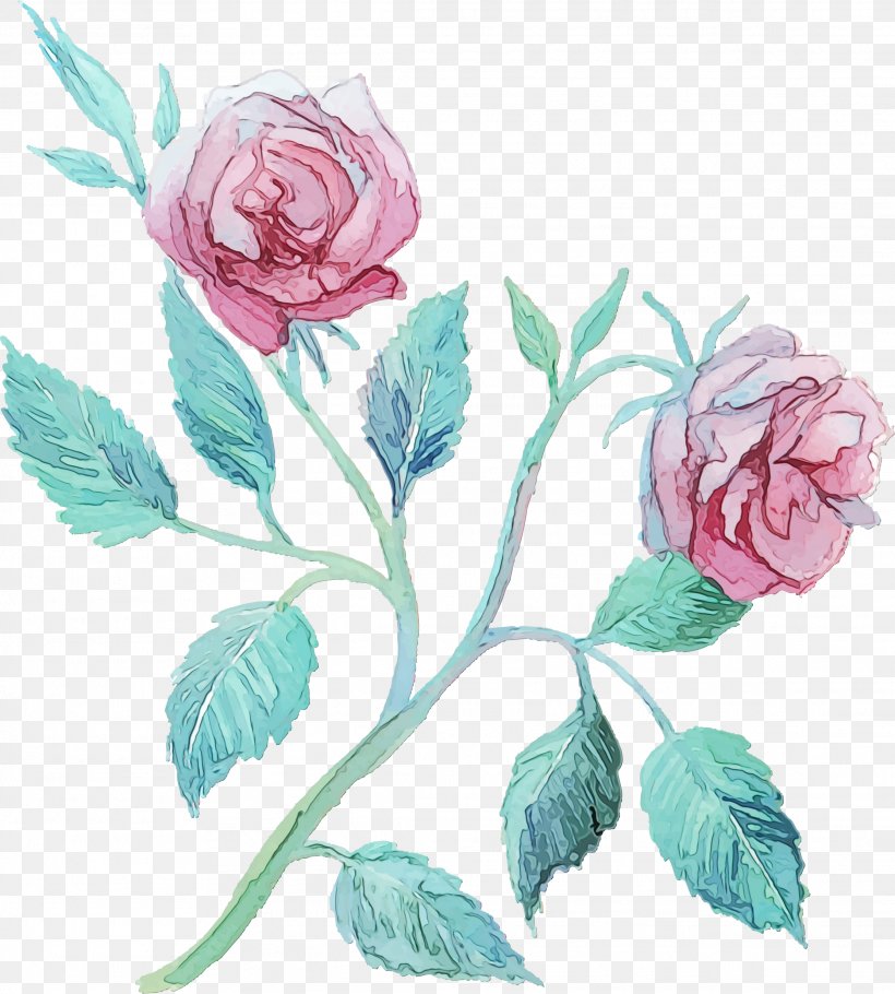 Garden Roses, PNG, 2228x2473px, Watercolor, Blue Rose, Flower, Flowering Plant, Garden Roses Download Free