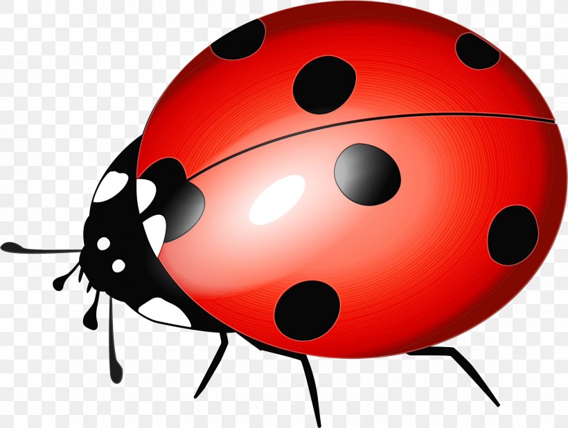 Ladybug, PNG, 2365x1787px, Watercolor, Ball, Beetle, Insect, Ladybug Download Free