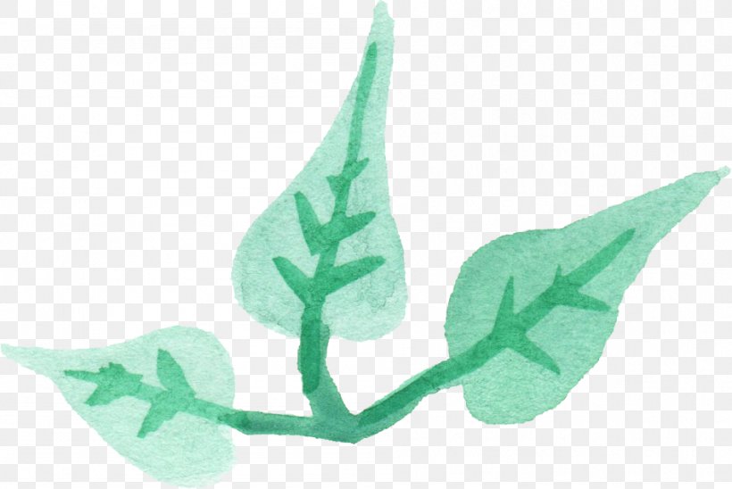 Leaf Turquoise Teal, PNG, 947x634px, Leaf, Com, Organism, Plant, Teal Download Free