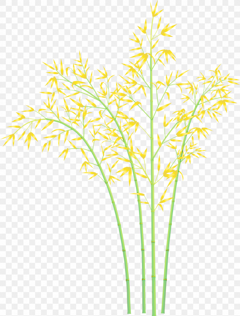 Plant Yellow Grass Grass Family Plant Stem, PNG, 2273x3000px, Bamboo, Flower, Grass, Grass Family, Leaf Download Free