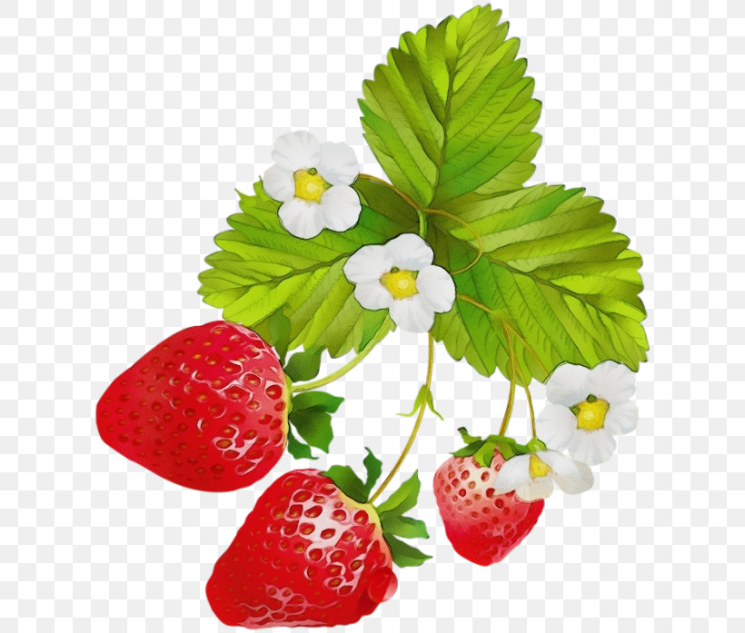 Strawberry, PNG, 617x697px, Watercolor, Accessory Fruit, Alpine Strawberry, Berry, Flower Download Free