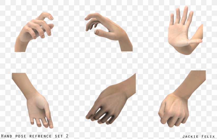Thumb Hand Model DeviantArt Reference, PNG, 1024x657px, Thumb, Arm, Art, Artist, Community Download Free