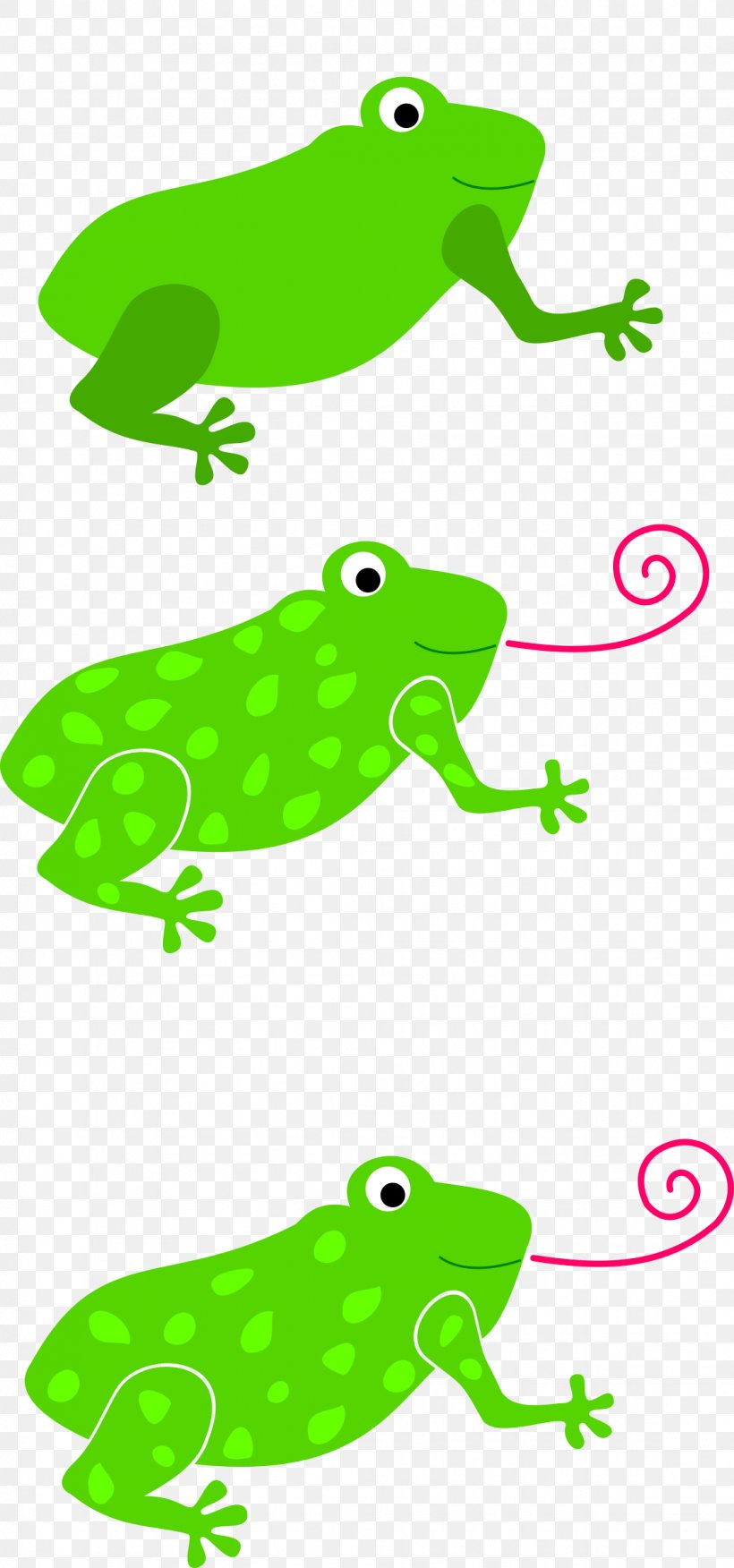 Tree Frog Tongue Toad Clip Art, PNG, 1123x2400px, Frog, American Bullfrog, Amphibian, Animal Figure, Area Download Free