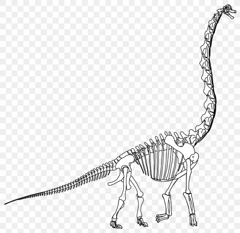 Velociraptor Tyrannosaurus Terrestrial Animal Extinction Line Art, PNG, 826x800px, Velociraptor, Animal, Animal Figure, Black And White, Dinosaur Download Free