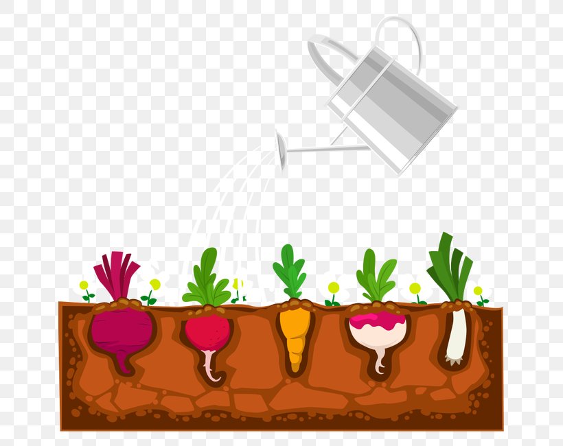 Plant Garden Devils Ivy Shrub, PNG, 650x650px, Plant, Carrot, Devils Ivy, Floral Design, Flower Download Free