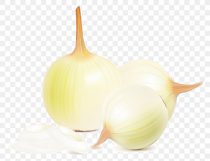 Yellow Onion Vegetable Garlic Illustration, PNG, 3000x2303px, Onion, Allium, Amaryllis Family, Art, Cartoon Download Free
