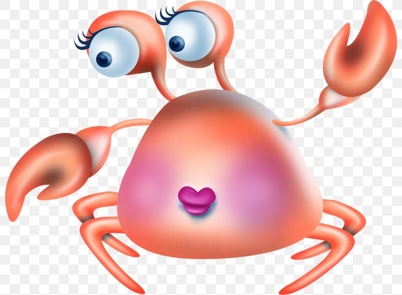 Crab Computer File, PNG, 800x602px, Watercolor, Cartoon, Flower, Frame, Heart Download Free