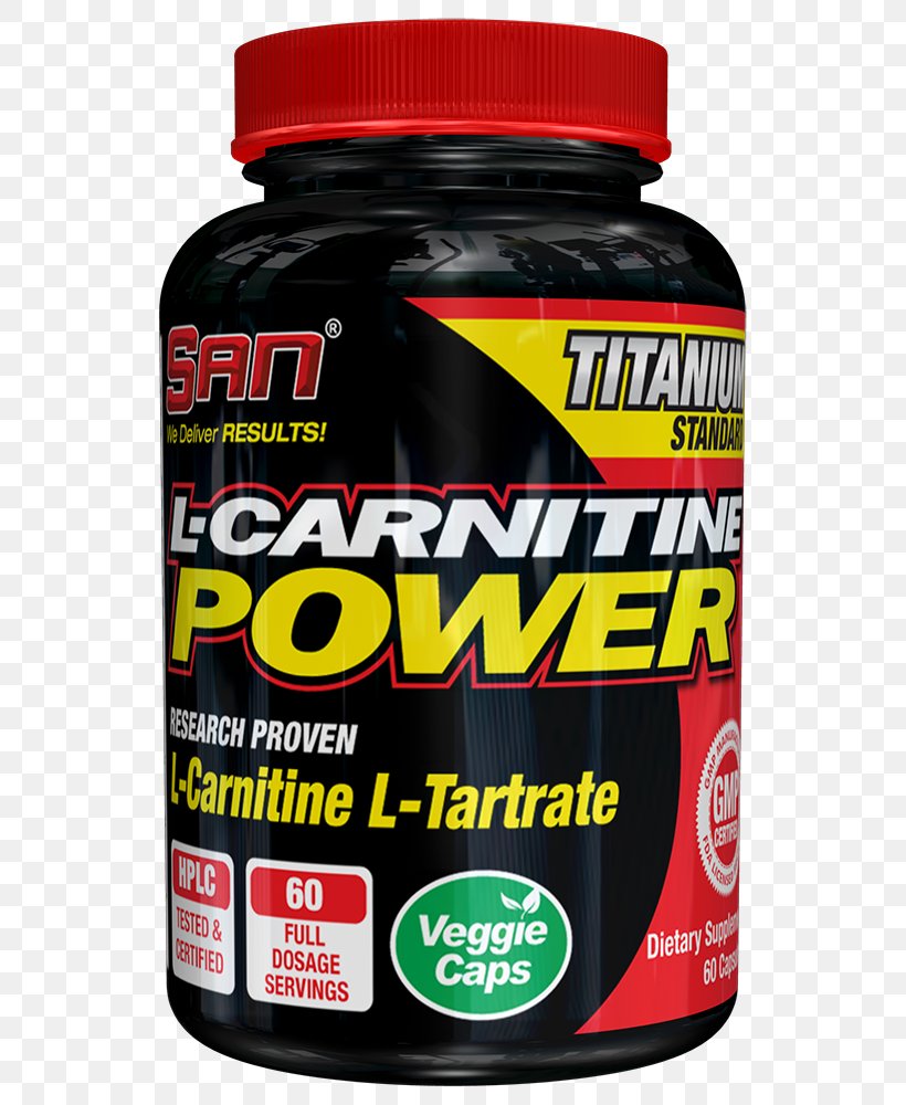 Dietary Supplement Levocarnitine Acetylcarnitine Sports Nutrition, PNG, 565x1000px, Dietary Supplement, Acetylcarnitine, Bodybuildingcom, Branchedchain Amino Acid, Brand Download Free