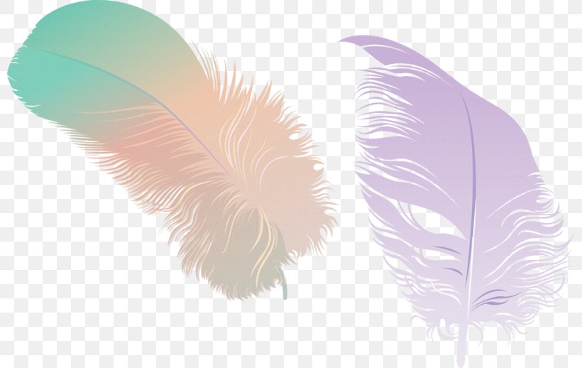 Feather Image Adobe Photoshop Design, PNG, 800x518px, Feather, Common Ostrich, Fashion Accessory, Natural Material, Pen Download Free