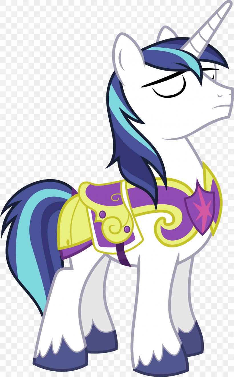 Twilight Sparkle Princess Cadance Rainbow Dash Spike Shining Armor PNG X Px Twilight