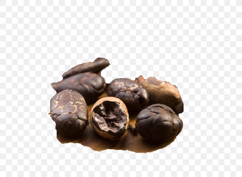 Chocolate-coated Peanut Praline Tree Nut Allergy, PNG, 600x600px, Nut, Chocolate, Chocolate Coated Peanut, Chocolatecoated Peanut, Cocoa Bean Download Free