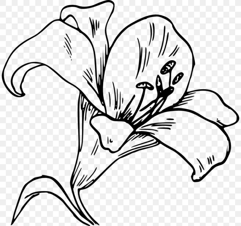 Easter Lily Lilium 'Stargazer' Computer Icons Clip Art, PNG, 808x771px, Easter Lily, Art, Artwork, Arumlily, Beak Download Free