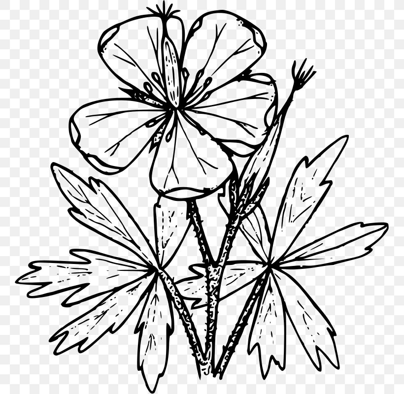 Floral Design Drawing Wildflower, PNG, 759x800px, Floral Design, Art, Artwork, Black And White, Branch Download Free