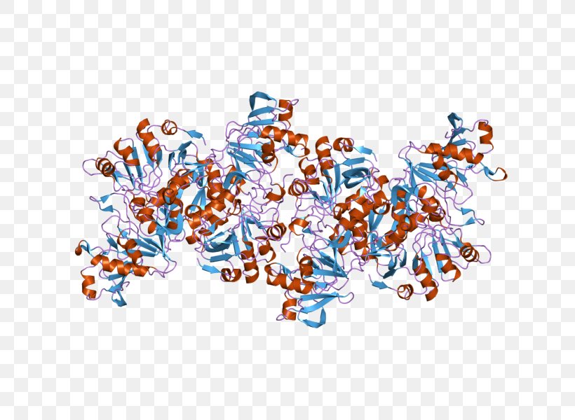Tyrosinase Copper Proteins And Copper Enzymes Melanin Oxidase, PNG, 800x600px, Tyrosinase, Art, Catechol, Catechol Oxidase, Enzyme Download Free