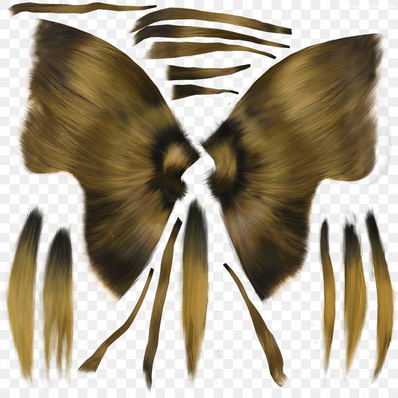 Butterfly Insect Moth Pollinator Wing, PNG, 2048x2048px, Butterfly, Animal, Arthropod, Butterflies And Moths, Insect Download Free